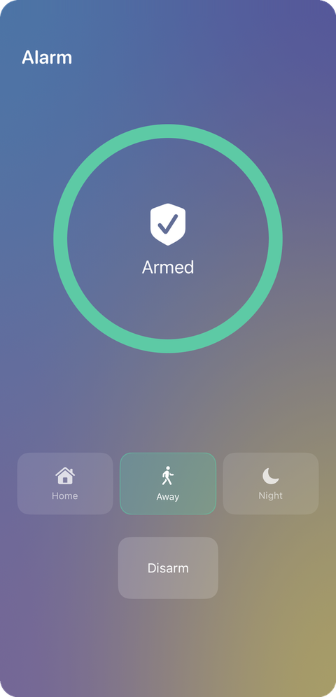 Alarm & security